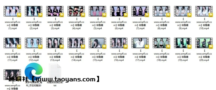 947、AfreecaTv韩国BJ哈鲁酱精选舞蹈合集[24v4.4G]