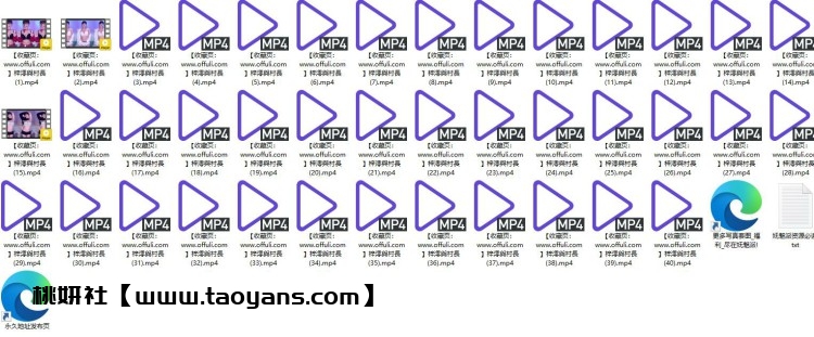 1143、Twitch香港BJ梓澪與村長精选舞蹈合集[40v5.5G]