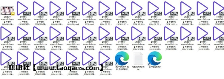 1159、虎牙直播车老板呢24年8-10月精选热舞剪辑[35v6.18G]