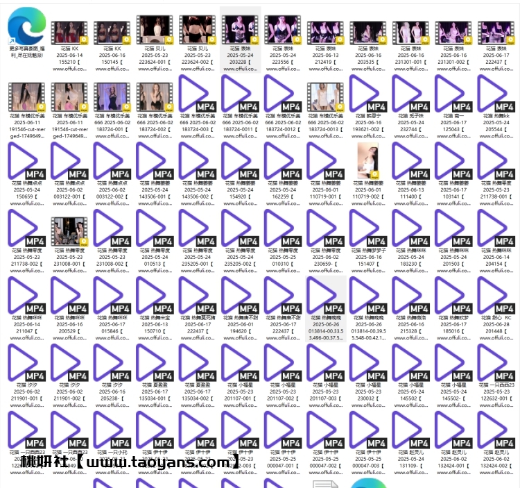 1304、花猫直播精选舞蹈合集[90v7.2G]