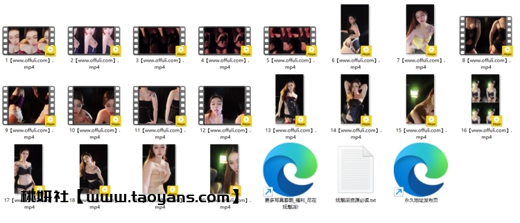 1317、漂漂直播汐汐酱精选舞蹈合集[20v2.13G]